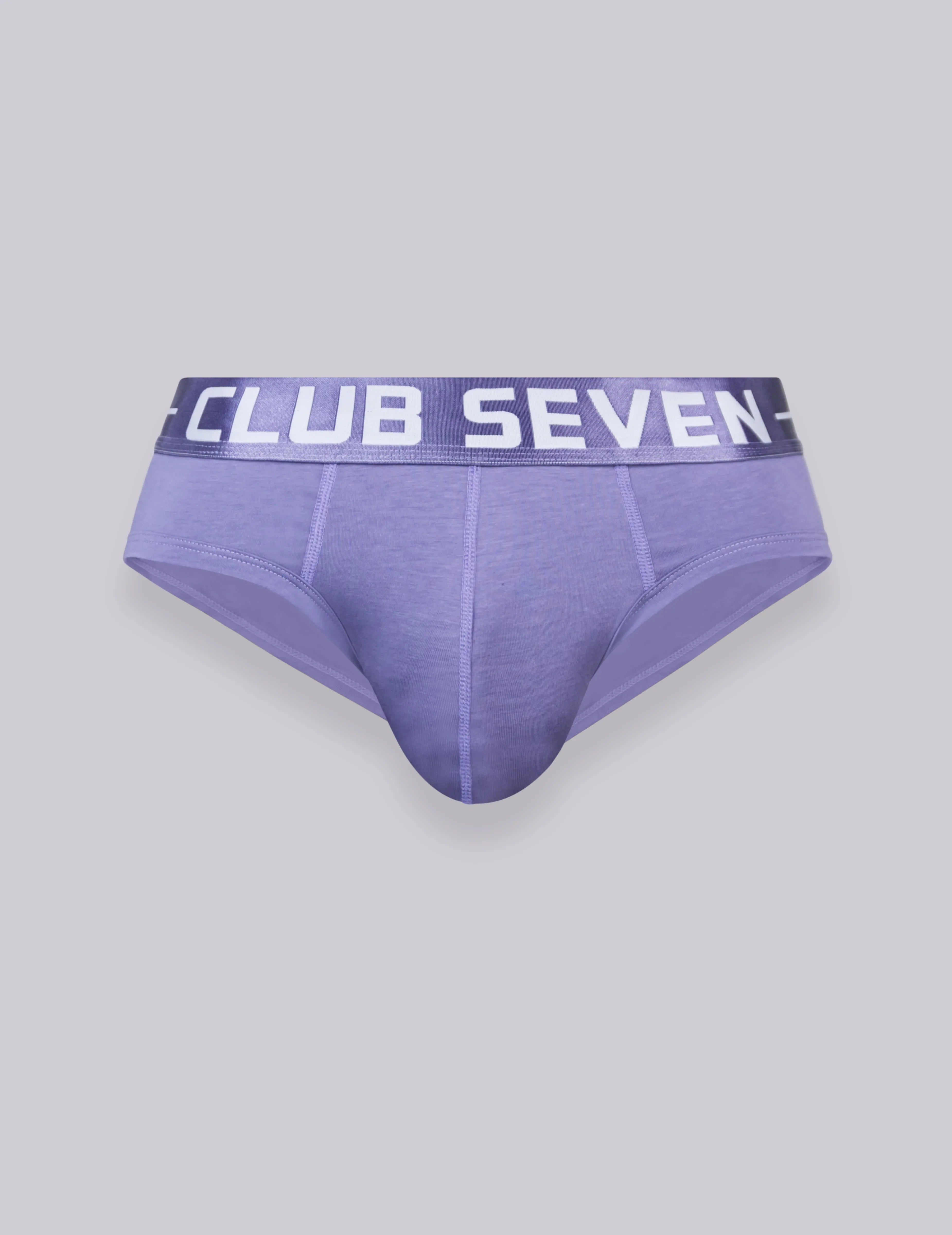 LUXE Cotton Passion Purple Briefs