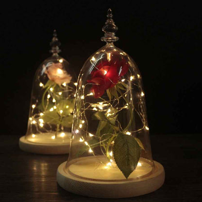 Immortal flower glass cover rose glass cover Valentine&