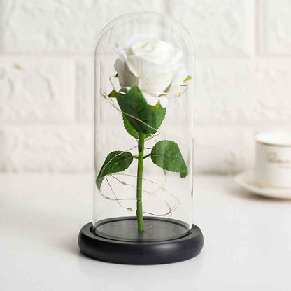 Immortal flower glass cover rose glass cover Valentine&