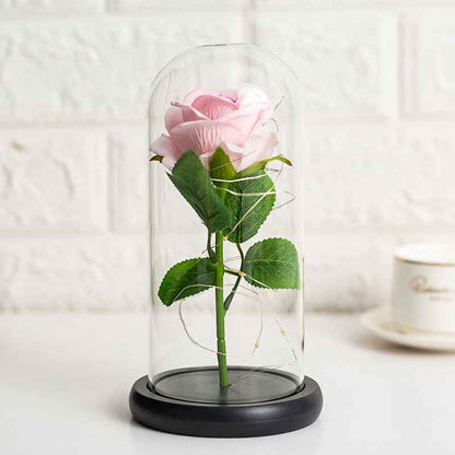 Immortal flower glass cover rose glass cover Valentine&