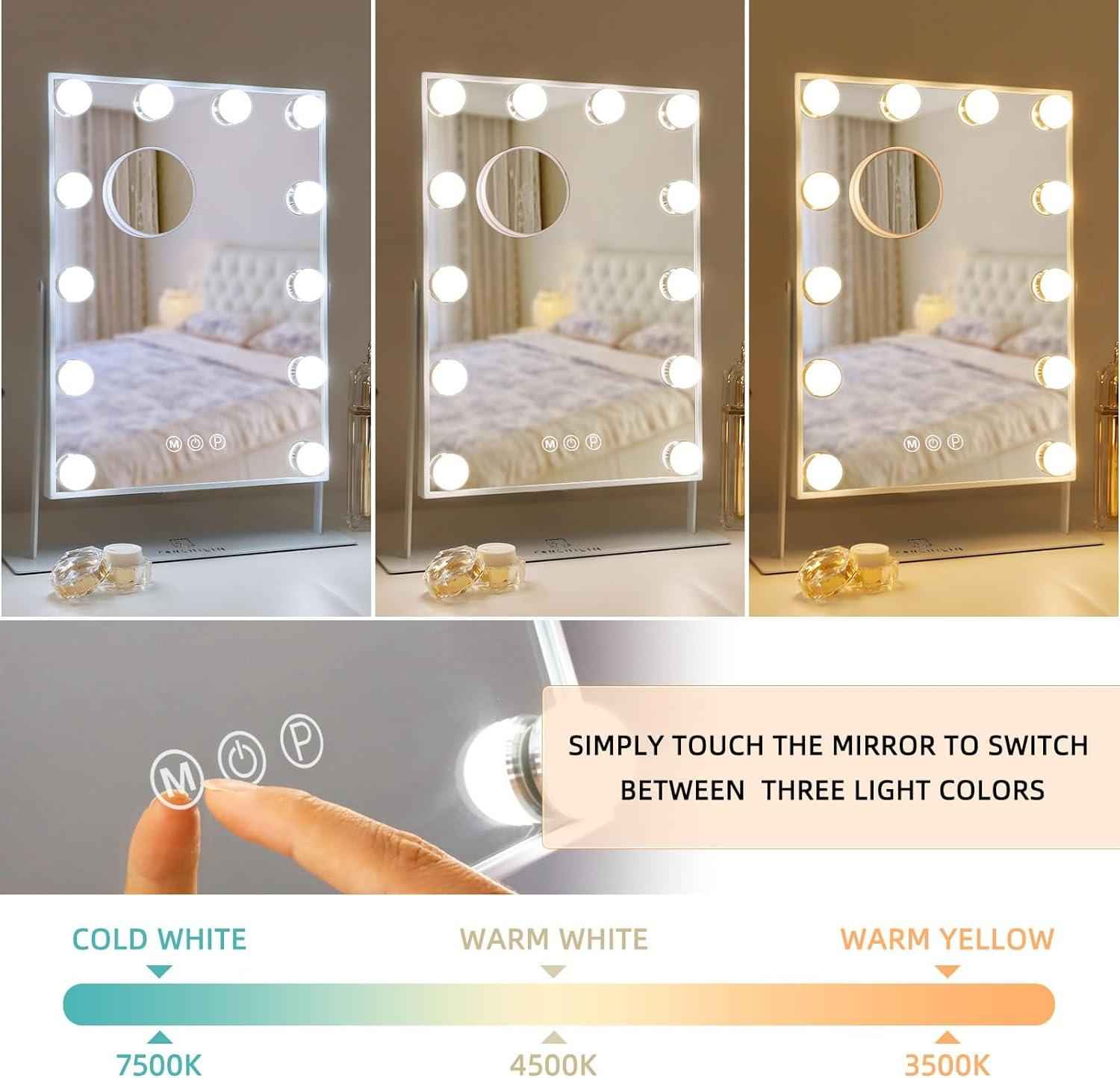 FENCHILIN Vanity Makeup Mirror with Lights 12 LED Bulbs 10X Magnifying