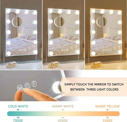 FENCHILIN Vanity Makeup Mirror with Lights 12 LED Bulbs 10X Magnifying