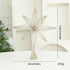 Eight Awn Star Champagne Christmas Decoration Ornaments