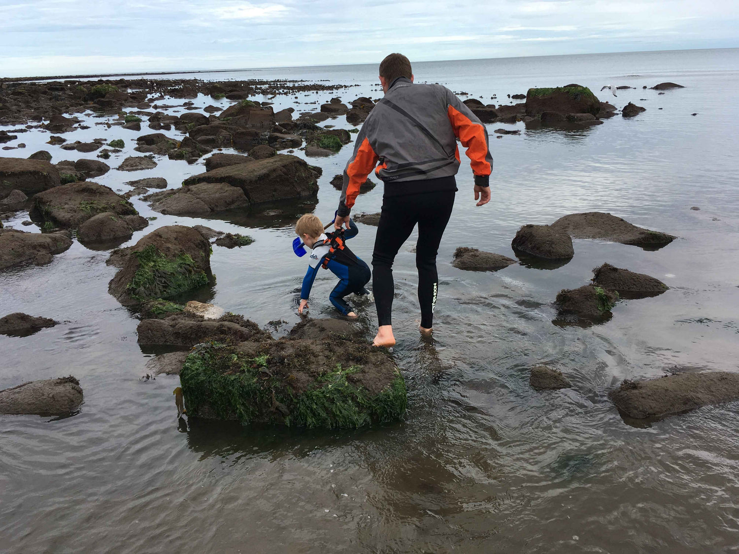 Original Hobbledehoo