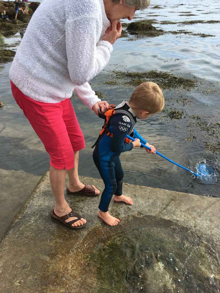 Original Hobbledehoo