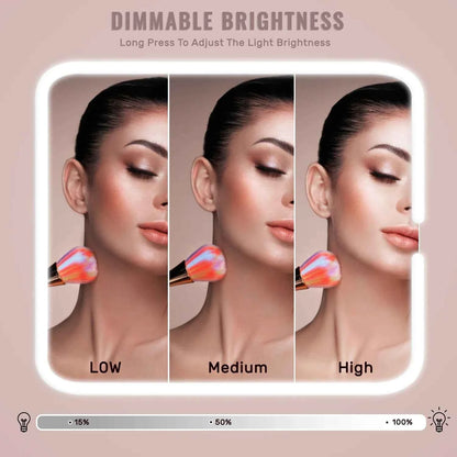 Travel Makeup Bag With LED Lighted Mirror, Makeup Train Case With Adjustable Dividers For Home,Gift,Vacation