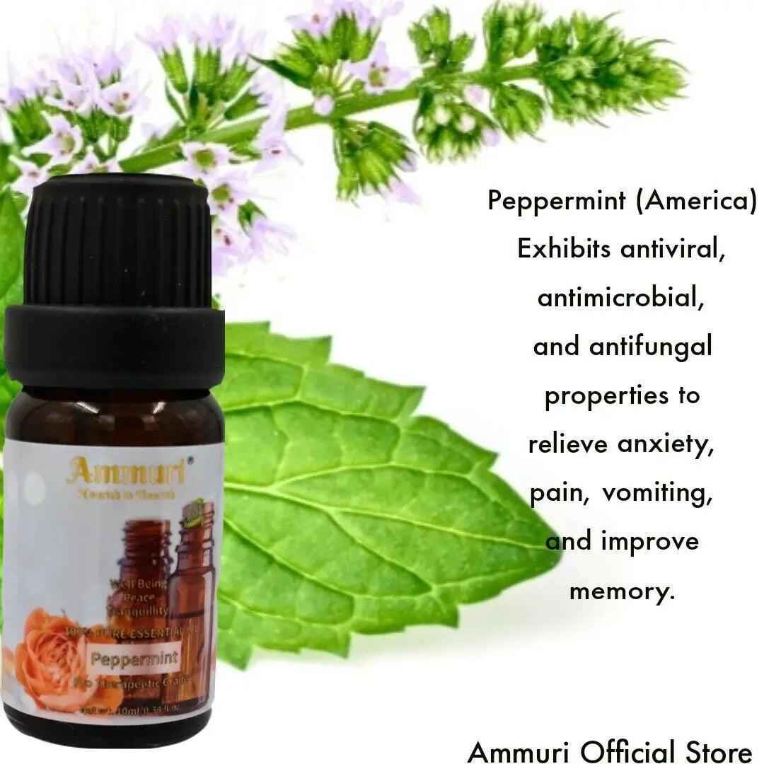 Ammuri Skincare Essential Oils Gift Set - Aromatherapy Blend