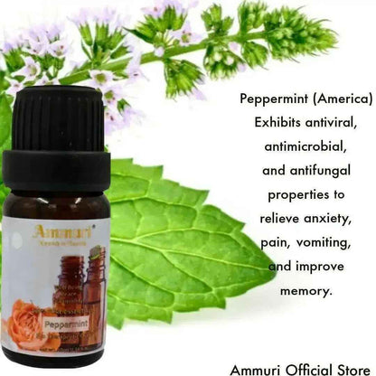 Ammuri Skincare Essential Oils Gift Set - Aromatherapy Collection