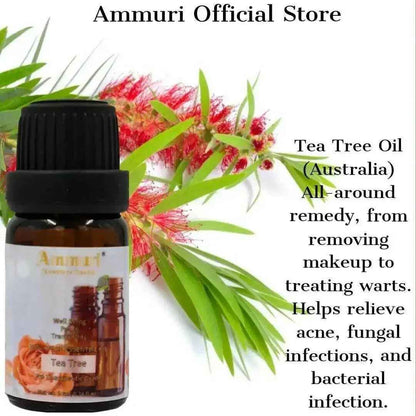 Ammuri Skincare Essential Oils Gift Set - Aromatherapy Collection