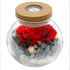 Led Color Luminous Preserved Fresh Flower Rose Christmas Valentine&